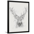 thumbnail image 1 of Contemporary Elk Sketch I, Animals Framed Art Print Wall Art Sold by Art.Com, 1 of 5