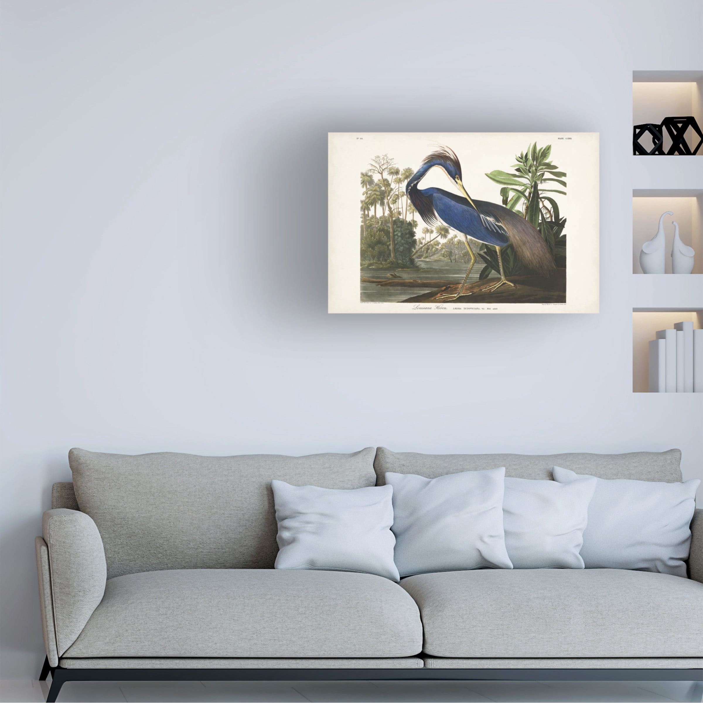 John James Audubon 'Louisiana Heron' Canvas Art