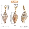 thumbnail image 2 of Colgantes con forma de concha marina Charm SUNNYCLUE, 10 unidades, cierres de mosquetón, 2 of 7