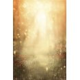 thumbnail image 1 of BSDHOME Polyester Sunshine Photography Backdrops For Children Beautiful Flowers Photo Studio Background 5x7ft, 1 of 4