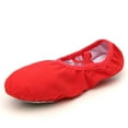 thumbnail image 2 of TEHAUX Women's Ballet Shoes Lightweight Canvas for Dance Practice and Performance, 2 of 8