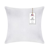 A1HC Hypoallergenic Down Alternative Decorative Throw Pillow, 20x20 in, Square, Pack of 1, White