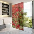 thumbnail image 3 of 3D Privacy Home Bathroom Window Film Sticker Self Adhesive lass Decor a Beautiful Ranunculus Flowers in a Field aka Buttercup Flower Blooms in Vibrant Warm red Color Spring time 35.4" x 78.7" Door, 3 of 6