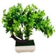 thumbnail image 1 of RKSTN artificial potted Simulated Welcome Potted Plants, Plastic Artificial Flowers, Peacock Trees, Bonsai Home Decoration, Simulated Plant Decorations, 1 of 2