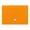 Orange, variant on 1 Pc Accordion File Organizer, 13 Pockets Expanding File Folder with Labels, Reusable File Folders with Elastic Closure, Plastic Portable Folders for Office Home Supplies, 12.99x9.44 inch