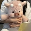 Pink Cattle