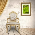 thumbnail image 3 of Millet, Karyn 11x14 Gold Ornate Wood Framed with Double Matting Museum Art Print Titled - Tropical Leaves I, 3 of 4