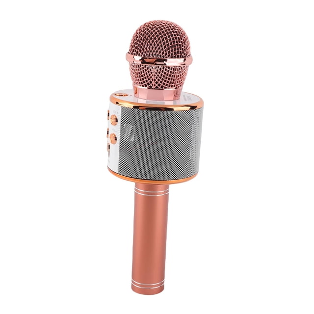 Bt Professional BT Wireless Microphone Karaoke Speaker KTV Music Player Singing Recorder Handheld Microphone