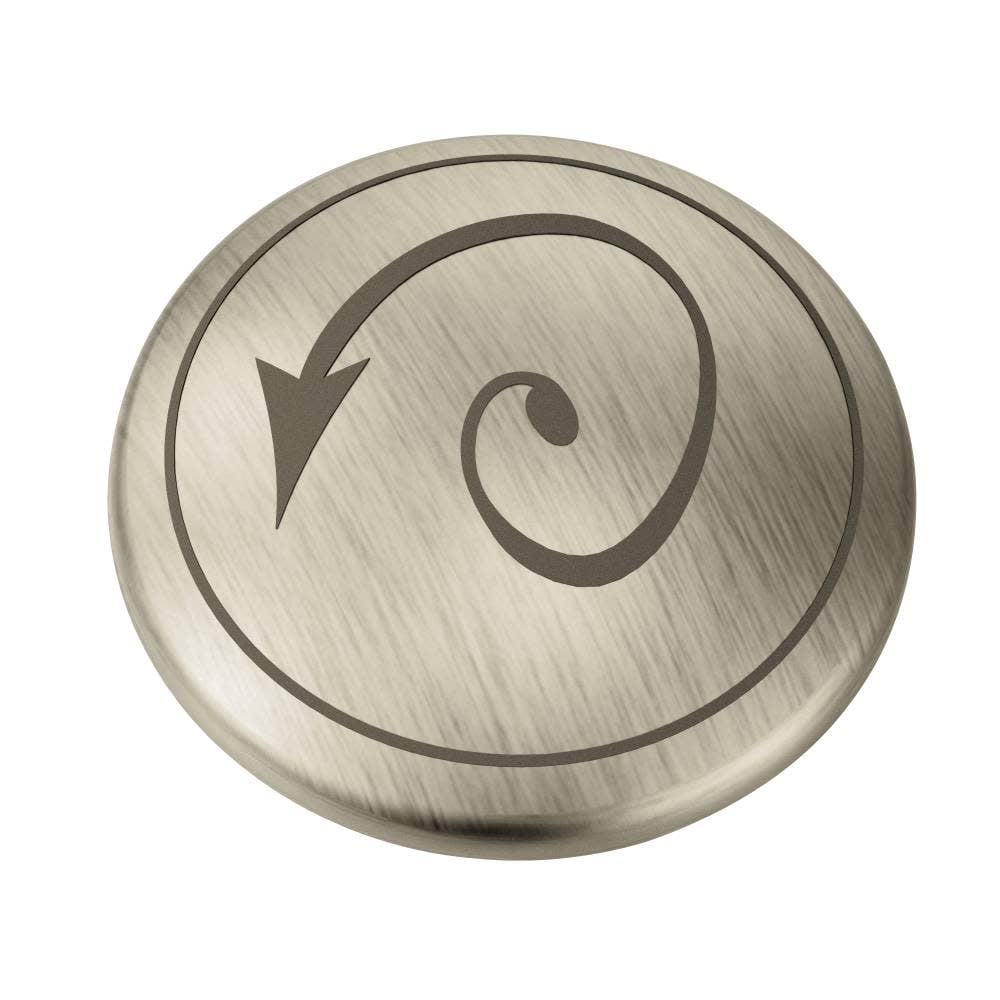 Moen 221673 Weymouth Replacement Handle Cap Kit Only Nickel