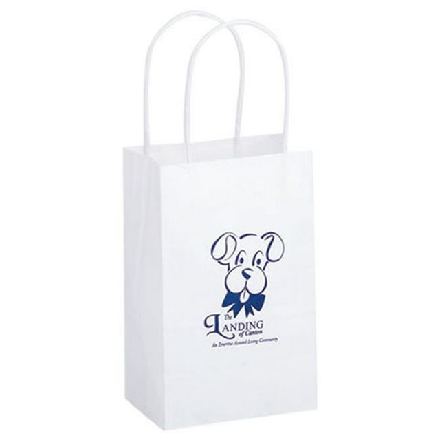 AAB 1W538 Sac de Courses en Papier Kraft Blanc - Lot de 250