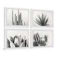 thumbnail image 2 of Marmont Hill Cactus Kinds Quadriptych by Morgan Hartley, 2 of 6