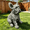 Grey + Resin + Art Deco, variant on FENGFAN 19.69in Standing Black Bear Resin Statue All Weather Rustic Garden Decor 1 Pack