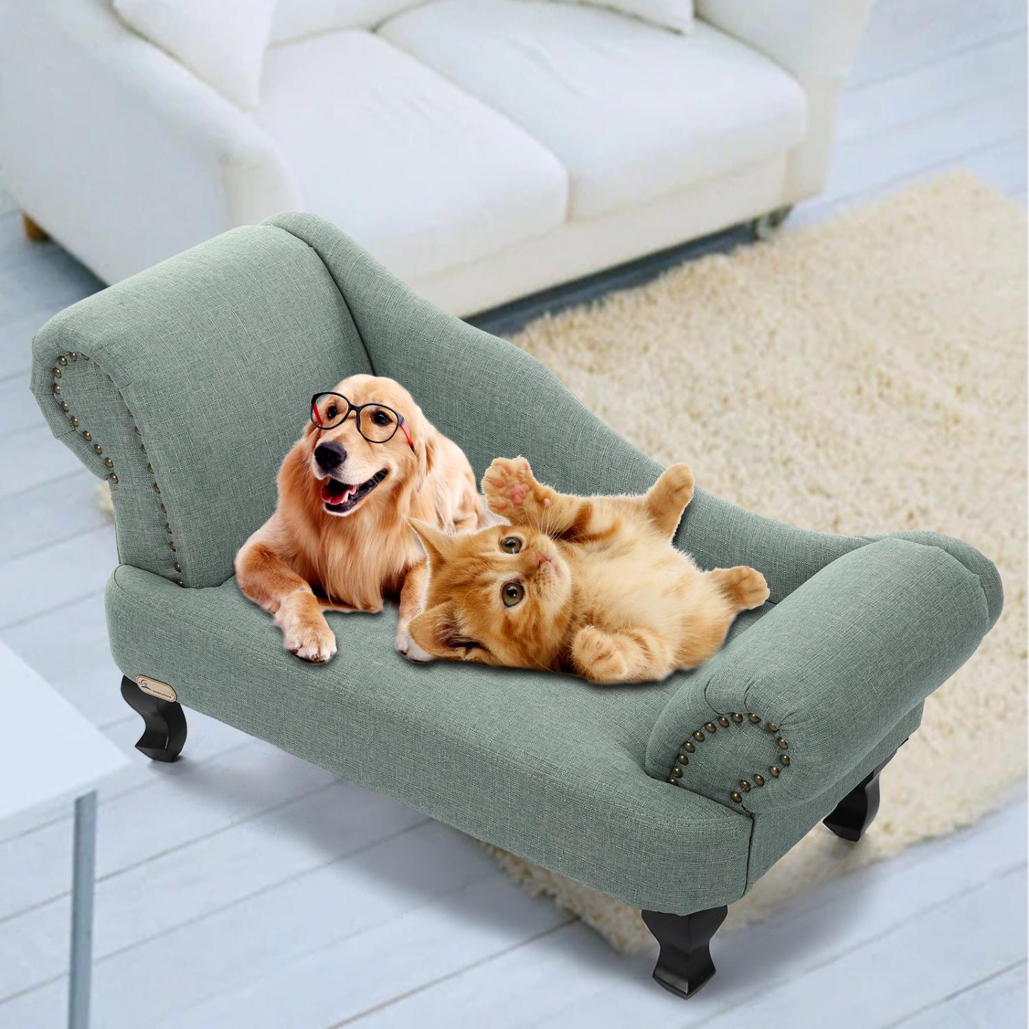 Dog Sofa Beds For Big Dogs Baci Living Room