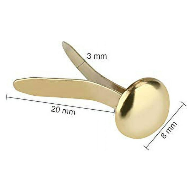NEW-1/2 Inch Brass Paper Fasteners, Mini Paper Fasteners For Handicraft  Projects, Decorative DIY Supplies, 8 X 14 Mm (Gold) - AliExpress