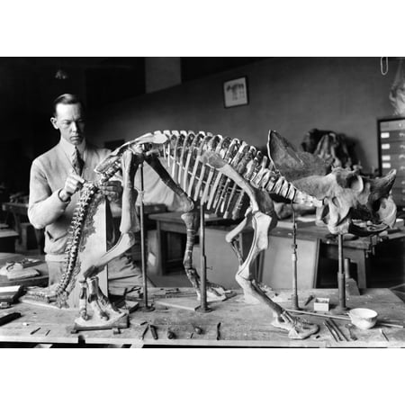 Dinosaur dating