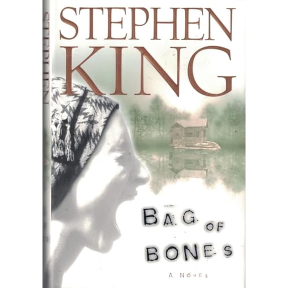 Pre-Owned Bag of Bones (Hardcover) 0684853507 9780684853505