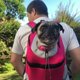 thumbnail image 2 of Resa Pet Dog Carrier Valp Rese Mesh Ryggsäck Främre Bärbar axelväska Rose S, 2 of 5