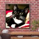 thumbnail image 5 of Cuadros Decorativos Kit de imagen de mosaico redondo completo de gato negro de bigote largo de pintura de diamante 30x30cm Ehuebsd  Nuevos Originales, 5 of 9
