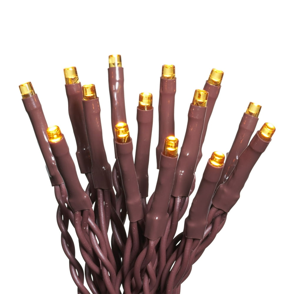 Way to Celebrate Harvest 30Count Battery Operated LED Mini Lights