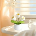 thumbnail image 4 of Giunmcul My Order Crochet Flowers Potted Home Ornament Potted Crochet Woven Flowers, 4 of 5