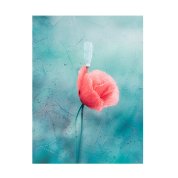 Trademark Fine Art Cristiano Giani Let's cool Canvas Wall Art