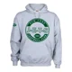 thumbnail image 1 of Sudadera Capucha Jets Nueva York Nfl Fútbol Americano Mod. 2, 1 of 3