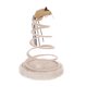 thumbnail image 2 of Muyoka Juguete interactivo para gatos, juguete de resorte en espiral con parte superior del ratón, juguete de peluche para gatos con placa de resorte en espiral y divertido juguete de reflejos de equi Muyoka Hogar, 2 of 7
