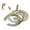 Brass, variant on 32mm Half-moon Nut Kitchen Faucet Anti-loosing Nut Tap Faucet Fixing Fitting Kit Horseshoe Nut Faucet Fastener Kitchen Accessory