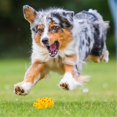 thumbnail image 4 of Pets Dogs Cats Squeaky Toys Grunting Pigs Oinks Grunts Toy Pet Training Fetch Toys, 4 of 4