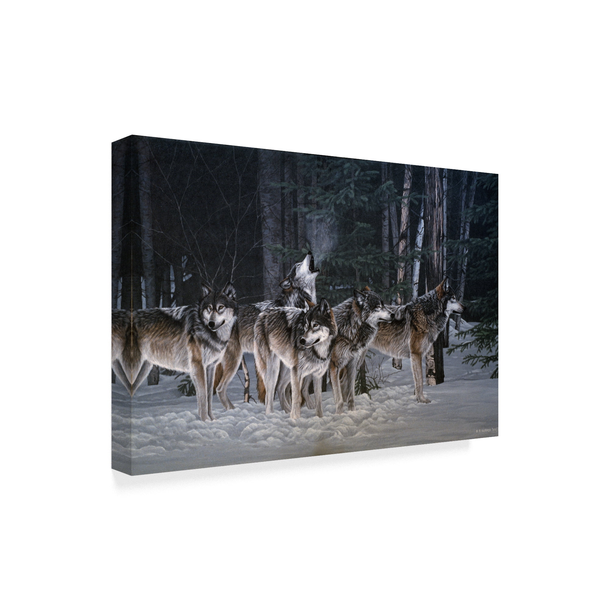 Trademark Fine Art 'Breaking The Silence Wolves' Canvas Art by Ron Parker