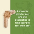 thumbnail image 3 of Suplemento probiótico para la salud intestinal Spirited Paw 90 cápsulas, 3 of 7