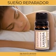 thumbnail image 4 of Aceite Esencial de Lavanda Aromas & Lavanda 10 ml Relajante Natural para Difusor, 4 of 4