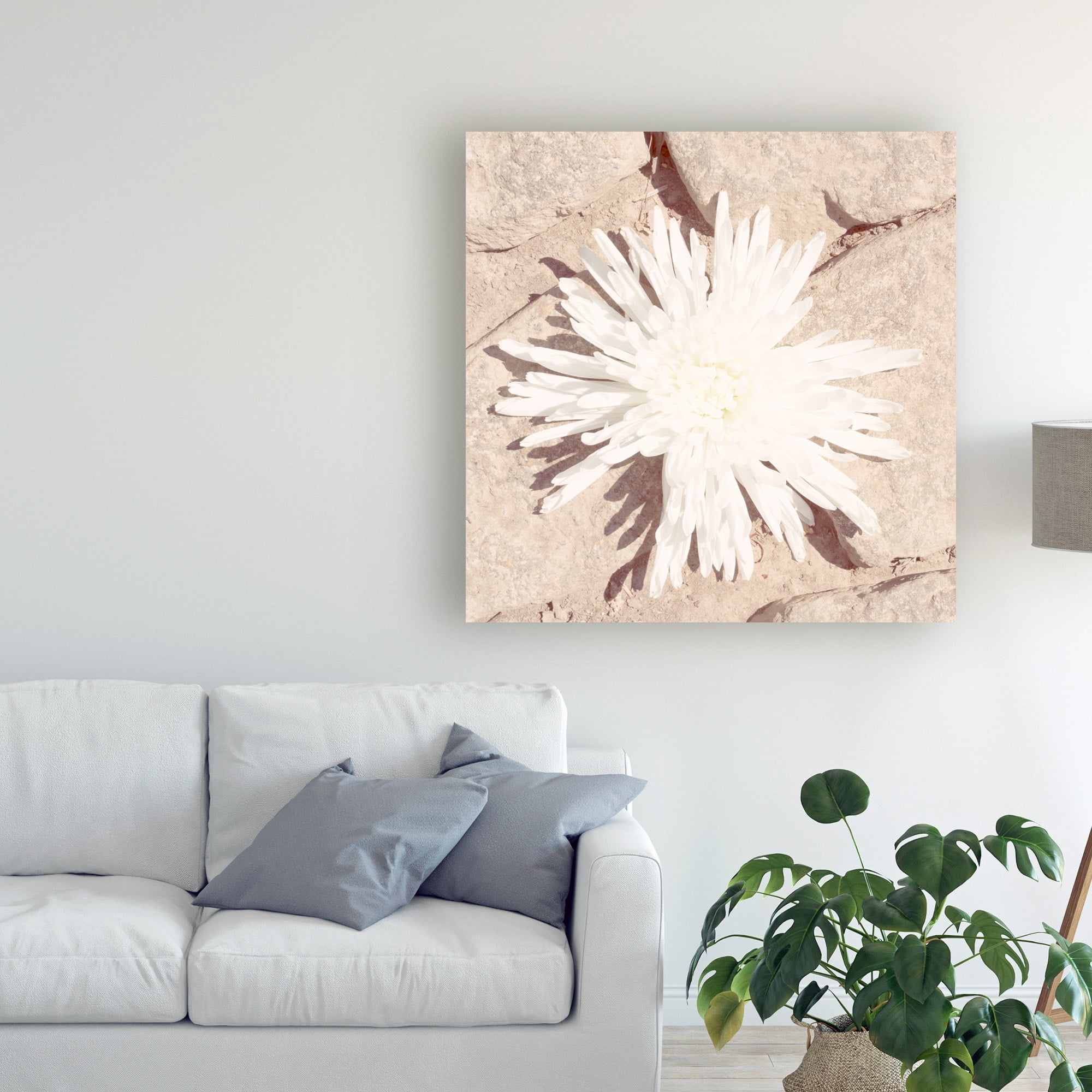 Trademark Fine Art 'Stone Blossom III' Canvas Art by Jason Johnson