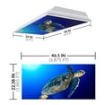 thumbnail image 2 of Octo Lights Fluorescent Light Covers for Classroom Office - Eliminate Harsh Glare Causing Eyestrain and Headaches. Office & Classroom Decorations - Ocean 008, 2 of 7