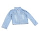 thumbnail image 5 of Chaqueta de manga larga con botones para mujer, informal, de moda, ajustada, con capucha desmontable para citas, azul claro, L, 5 of 15