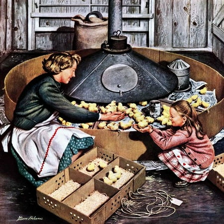 Marmont Hill Chicks in Incubator by Stevan Dohanos Painting Print on Wrapped Canvas