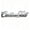 CT002-Silver, variant on Custom Car Stickers, Custom Stainless Steel Stylized Text Car Stickers, Personalized Name & Text Emblem, Waterproof Metal Decal for Cars, Vans, Boats, Bicycles, Refrigerators, Walls & Doors Etc