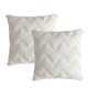 thumbnail image 1 of Paquete de 2 fundas de almohada decorativas de terciopelo de lana corta de felpa suave, funda de cojín estilo felpa para sofá, 18x18 pulgadas, 1 of 5