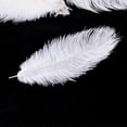 thumbnail image 5 of 20 x natural ostrich feather 25-30cm white decoration festivities, 5 of 5