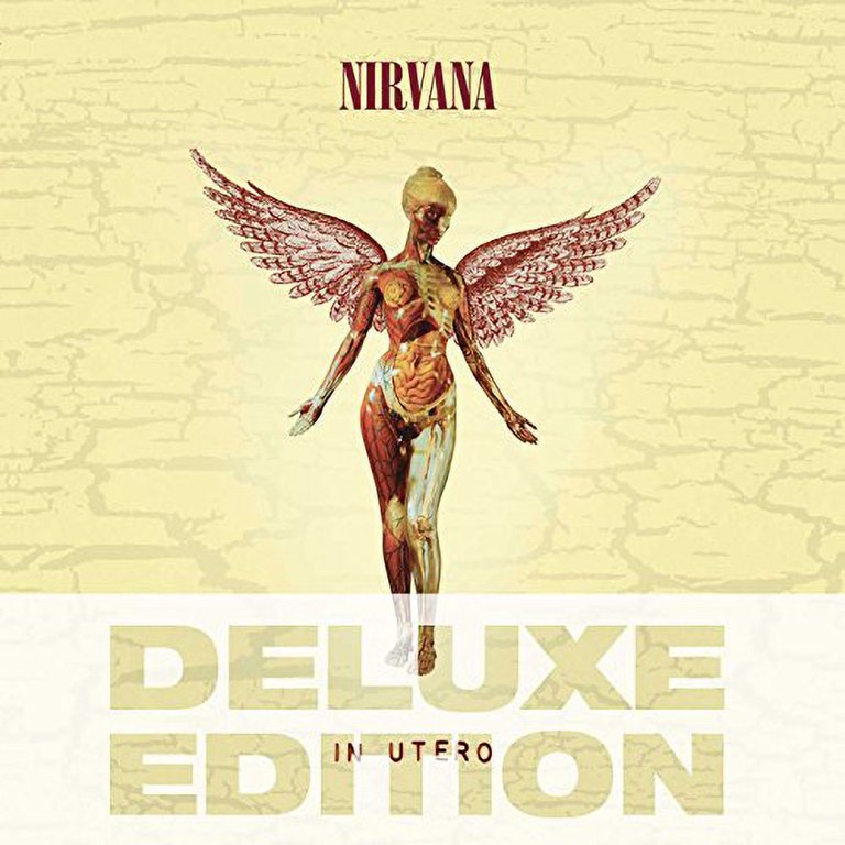 Nirvana - In Utero (20th Anniversary Edition) - Music