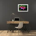 thumbnail image 3 of Perry, William 18x13 White Modern Wood Framed Museum Art Print Titled - Blue red Hardy Fuchsia Blooming Scientific named Genii Fuchsia, 3 of 4