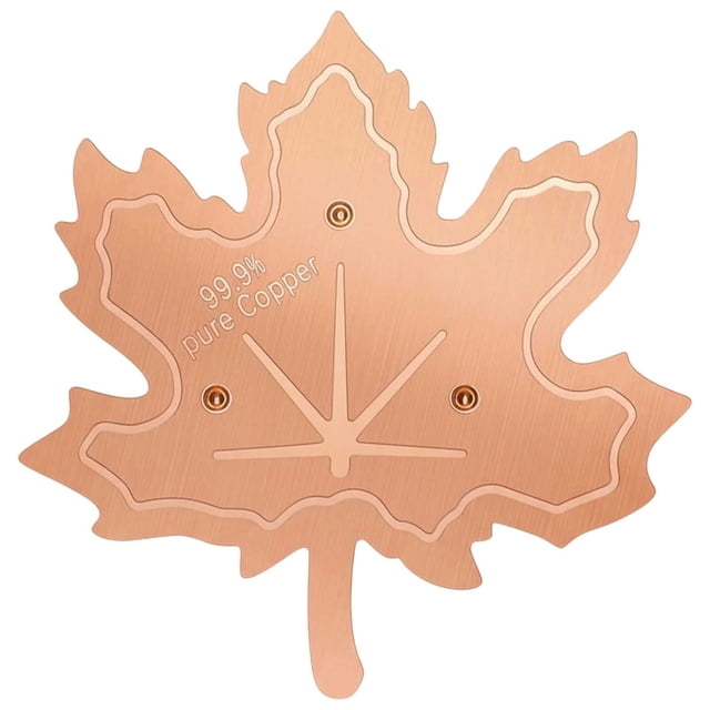 ZZHZGZ Clearance Sale Wild Birds Bathing Disc with Maple for Garden Yard