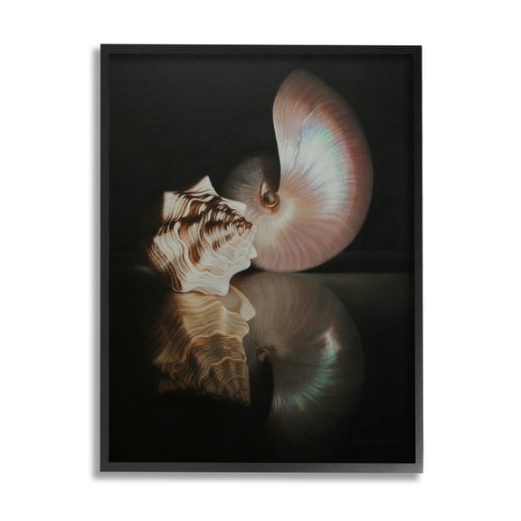 Stupell Industries Dark Sea Shells Still Life Photograph Black Framed Art Print Wall Art, Design by Cecile Baird