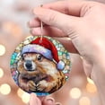 thumbnail image 4 of Personalized Prairie Dog Ornaments 2025, Prairie Dog Xmas Gifts Ideas, Prairie Dog Suncatcher,Prairie Dog Christmas Tree Ornament uD5XRc, 4 of 5