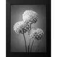 thumbnail image 2 of Frank, Assaf 12x14 Black Modern Framed Museum Art Print Titled - Three Dahlia flowers, 2 of 5