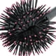 thumbnail image 3 of de Pelo Profesional 3D para Mujer, Peine Redondo para en El Hogar, Cabe Ondulado, Secado, Desenredado, Resistente Al Calor, Cuid Zulema Cepillo del pelo rizado, 3 of 6