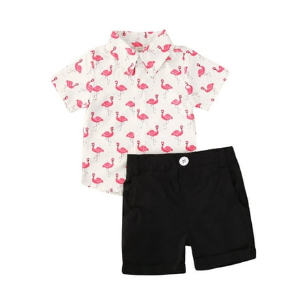 

Kuriozud Baby Boy Flamingo Print Short Sleeve Button Down Shirt Shorts Set