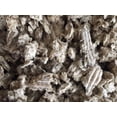 thumbnail image 3 of Natural Cat Litter 4.5 KG, 3 of 6
