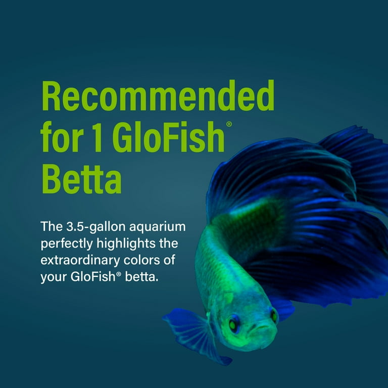 GloFish 2.5 Gallon Corner Aquarium Kit, Includes LED Lighting and Filtration Perfect for GloFish Betta Fish Tank, Size: 2.5 Gallons