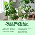 thumbnail image 6 of Monstera Plant Food for Monsteras and Philodendrons, Tropical Houseplant Liquid Fertilizer 8 oz (250mL), 6 of 7